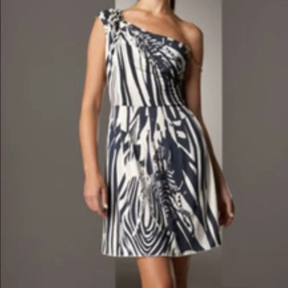 Iisli Garbo Zebra Dress - Picture 2 of 5